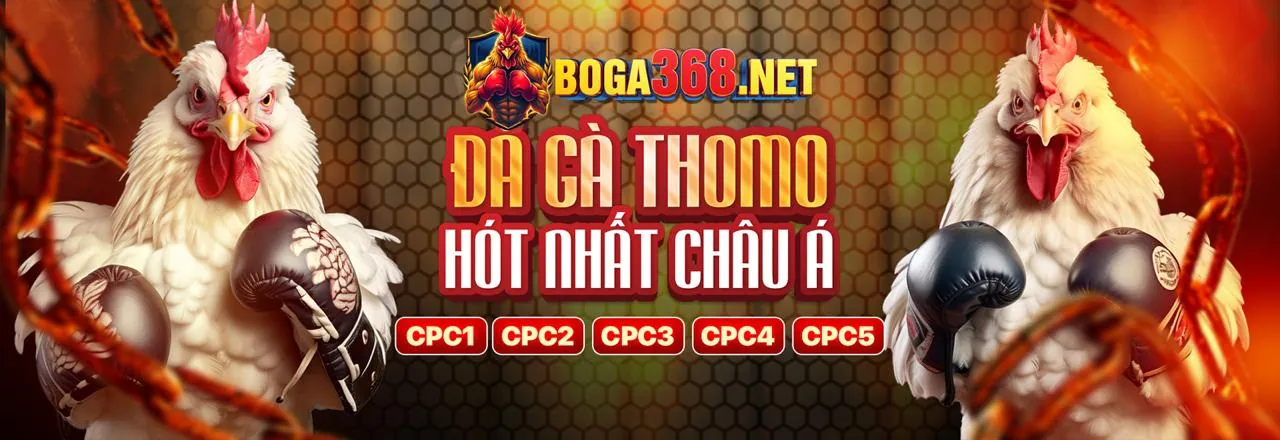 Vận động viên quần vợt đang giao bóng, thể hiện sự tập trung trong cá cược tennis tại Miso88 link mới